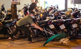 Theo chân tổ đội bắt chó thả rông ở Hà Nội