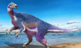 Công bố quái vật 5 màu chưa từng thấy trên thế giới