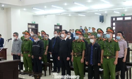 Đề nghị phạt 2 cựu Phó tổng BIDV án từ 6 - 7 năm tù