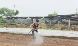 Anh Thắng vừa chia sẻ với PV vừa làm “luôn tay luôn chân”. 