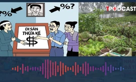 Cách chia thừa kế nhà đất do cha mẹ để lại 2024 mới nhất