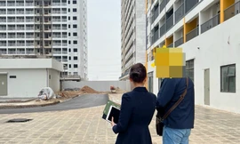 Giá chung cư các tỉnh đang neo ở mức nào?