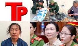 Bản tin Hình sự: Vì sao 'Tuấn phò mã' bị bắt?