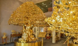 Cây bồ đề chưng Tết được mạ vàng, giá 1 triệu USD ở TPHCM