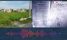 Những trường hợp đất có giấy tờ trước 15/10/1993 được cấp sổ đỏ theo Luật mới 