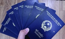 Người dân Đà Nẵng hỗ trợ tìm 30 cuốn hộ chiếu cho nam bưu tá trong đêm