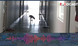 Nuôi chó, mèo ở chung cư có bị phạt tiền?