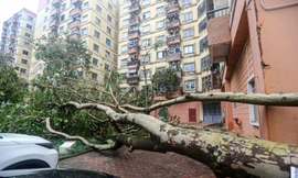 Cảnh khu đô thị, khu chung cư hoang tàn sau bão