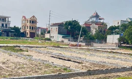 Chủ đầu tư được trả tiền thuê hàng năm sẽ giúp hạ giá nhà, đất?