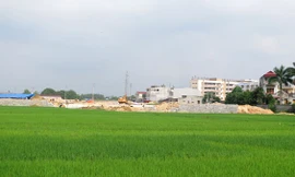 Bắc Giang thu hồi hơn ngàn ha đất trồng lúa 