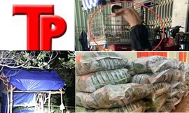 Bản tin Hình sự: Bất ngờ với hoàn cảnh của người cha đánh con trai trong lồng sắt