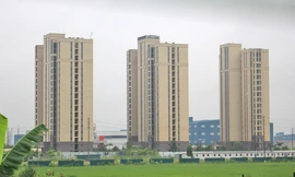 Bắc Giang thu hồi gần 1 triệu m2 đất lúa để thực hiện nhiều dự án nhà ở