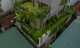 Cách 'hô biến' nhà phố thành công viên thu nhỏ 