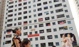 Giá nhà ở xã hội tăng vọt trong tháng cận Tết 