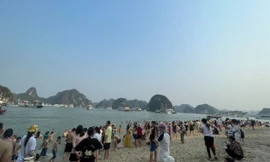 UNESCO sắp có chương trình đánh giá vịnh Hạ Long 