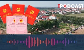 Sử dụng đất ổn định sẽ không phải nộp tiền sử dụng đất khi làm sổ đỏ?