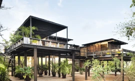 Ngỡ ngàng với nhà tổ chim tự tạo ra điện và nước ngọt trên đảo 