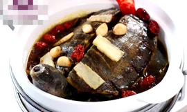 Ba ba hầm thuốc bắc