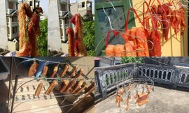 Bà nội trợ đua nhau phơi 'thịt một nắng' trong ngày nóng kỷ lục