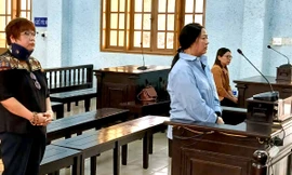 Kế toán Ủy ban MTTQ tỉnh Gia Lai chiếm đoạt tiền tỉ bị phạt 20 năm tù