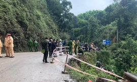 Ô tô đầu kéo rơi xuống vực sâu 70m khi lùi tránh xe ngược chiều