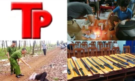 Bản tin Hình sự: Nữ sinh bị 2 tên cướp chặn đường hiếp dâm tập thể