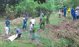 Nghi bị sát hại, vợ chồng chủ vườn tiêu thương vong trong chòi rẫy