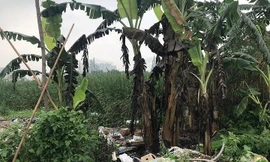 Hiện trường vụ án mạng