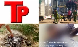 Bản tin Hình sự: 'Tú bà' ăn chặn 8 triệu đồng sau khi ép nữ sinh bán dâm