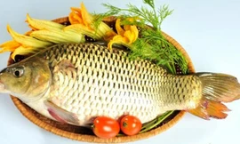 Món ăn, thuốc bổ từ cá chép