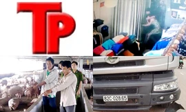 Bản tin Hình sự 18H: Bé gái 9 tuổi bị hãm hiếp giữa đêm