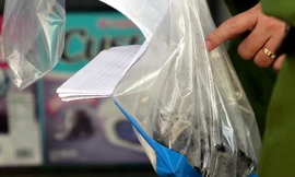 Dấu vết hiện trường vụ án mạng khiến 5 người chết trong biệt thự