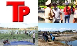 Bản tin Hình sự: Hai người đàn ông bị đồng nghiệp đâm thương vong