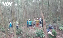 Phát hiện 2 người đàn ông chết trong tư thế treo cổ