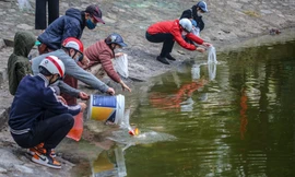 Thả tro hương với cá, mặt nước hồ biến dị trong ngày ông Công ông Táo