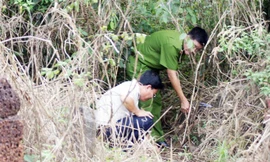 Ảnh chỉ mang tính minh họa