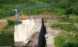 Rừng Vĩnh Thạnh - nơi xảy ra hỗn chiến giữa 2 nhóm lâm tặc