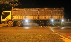 Ôtô tải bị thanh tra giao thông yêu cầu dừng dẫn đến tai nạn giao thông hồi tháng 9/2020. Ảnh: Công an Ninh Thuận cung cấp.