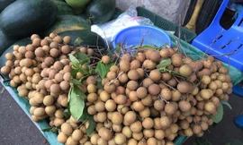 Loại nhãn quả to khủng, vỏ vàng sáng được bày bán la liệt tại chợ Hà Nội