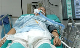 Bắt giữ đối tượng giết cha đẻ cho... bõ tức