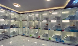 Nhà giàu Việt thuê khách sạn sang chảnh, có cả vệ sĩ cho thú cưng ngày Tết