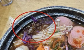 Hà Nội: Khách hoảng sợ phát hiện con gián 'phơi bụng' trong bát mỳ