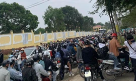 Vườn quốc gia Ba Vì tắc từ sáng đến chiều vì người dân đổ xô ngắm hoa dã quỳ