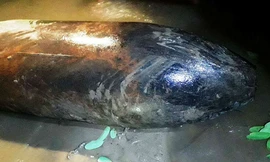 Quả bom vừa được phát hiện dưới suối Sim