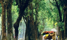 Hà Nội đón không khí lạnh trước kỳ nghỉ lễ 30/4