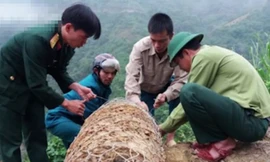 Nghẹt thở xem kích nổ quả bom hơn 3 tạ