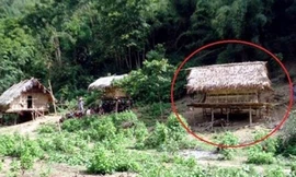 Ảnh chỉ mang tính minh họa