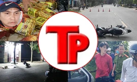 Bản tin Hình sự: Bố phóng hỏa thiêu sống 2 con, 3 người tử vong