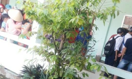 Dân vây bắt 4 phụ nữ vì nghi bắt cóc trẻ ở cổng trường