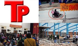 Bản tin Hình sự: Kẻ xâm hại tình dục dã man được tại ngoại sau khởi tố